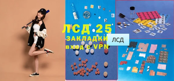 PSILOCYBIN Верея